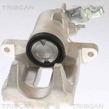 Triscan 8175 29202 - Bremssattel alexcarstop-ersatzteile.com