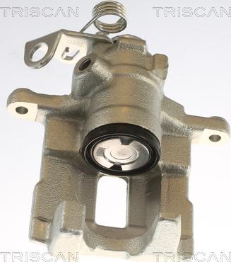 Triscan 8175 29211 - Bremssattel alexcarstop-ersatzteile.com