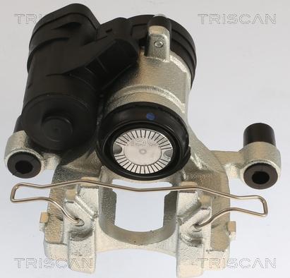 Triscan 8175 29239 - Bremssattel alexcarstop-ersatzteile.com