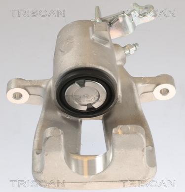 Triscan 8175 29228 - Bremssattel alexcarstop-ersatzteile.com