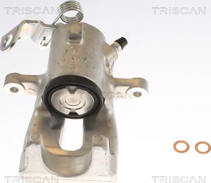 Triscan 8175 24205 - Bremssattel alexcarstop-ersatzteile.com