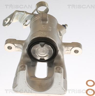 Triscan 8175 24201 - Bremssattel alexcarstop-ersatzteile.com