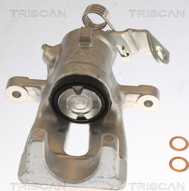 Triscan 8175 24202 - Bremssattel alexcarstop-ersatzteile.com