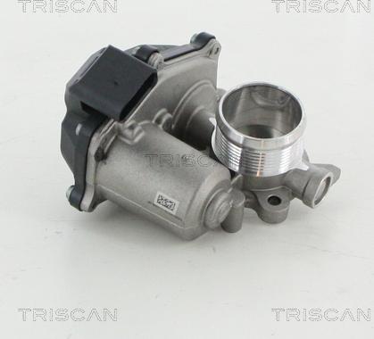 Triscan 8813 29316 - AGR-Ventil alexcarstop-ersatzteile.com