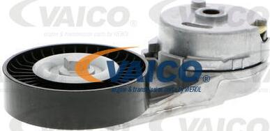 VAICO V40-0666 - Umlenk / Führungsrolle, Keilrippenriemen alexcarstop-ersatzteile.com