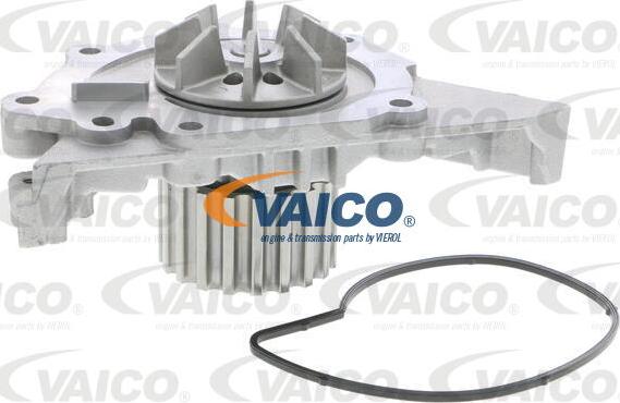 VAICO V42-50000 - Wasserpumpe alexcarstop-ersatzteile.com