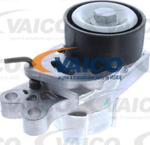 VAICO V42-0206 - Umlenk / Führungsrolle, Keilrippenriemen alexcarstop-ersatzteile.com