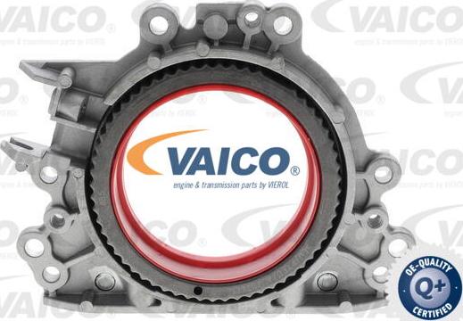 VAICO V10-4859 - Wellendichtring, Kurbelwelle alexcarstop-ersatzteile.com