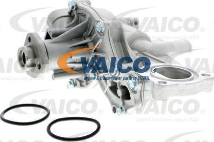 VAICO V10-50013 - Wasserpumpe alexcarstop-ersatzteile.com