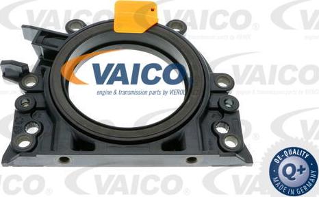 VAICO V10-3686 - Wellendichtring, Kurbelwelle alexcarstop-ersatzteile.com