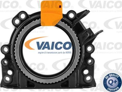 VAICO V10-3683 - Wellendichtring, Kurbelwelle alexcarstop-ersatzteile.com