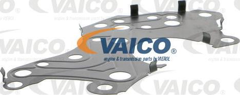 VAICO V10-3167 - Spanner, Steuerkette alexcarstop-ersatzteile.com