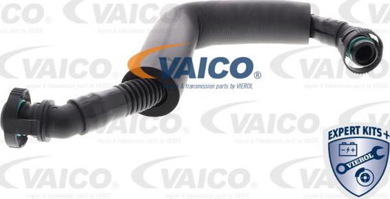 VAICO V10-3881 - Reparatursatz, Kurbelgehäuseentlüftung alexcarstop-ersatzteile.com