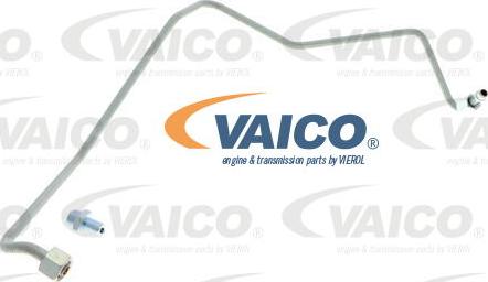 VAICO V10-3733 - Ölleitung, Lader alexcarstop-ersatzteile.com