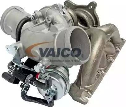 VAICO V10-2481 - Lader, Aufladung alexcarstop-ersatzteile.com