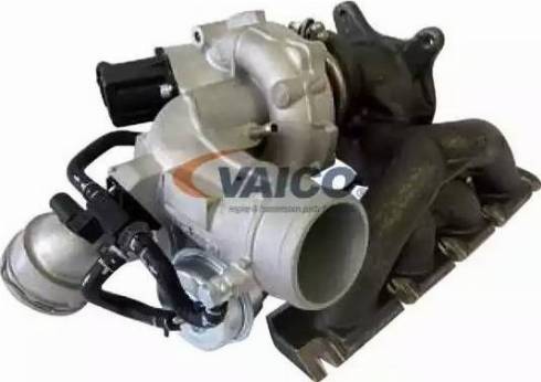 VAICO V10-2482 - Lader, Aufladung alexcarstop-ersatzteile.com