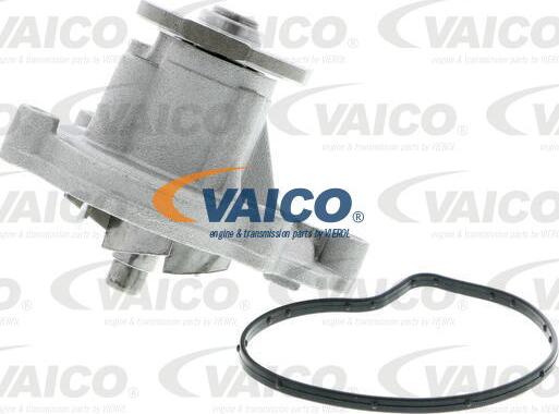 VAICO V30-50056 - Wasserpumpe alexcarstop-ersatzteile.com