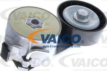 VAICO V24-0141 - Umlenk / Führungsrolle, Keilrippenriemen alexcarstop-ersatzteile.com