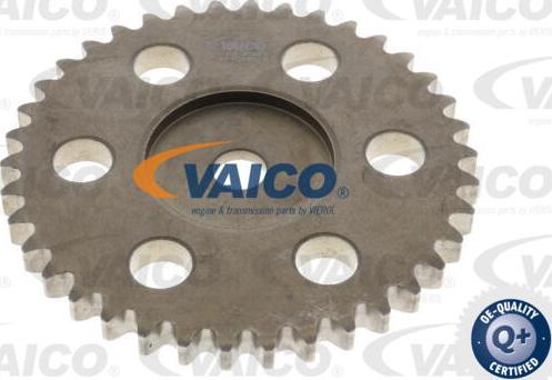 VAICO V25-10004-SP - Steuerkettensatz alexcarstop-ersatzteile.com