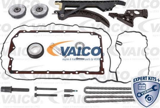 VAICO V20-10020 - Steuerkettensatz alexcarstop-ersatzteile.com