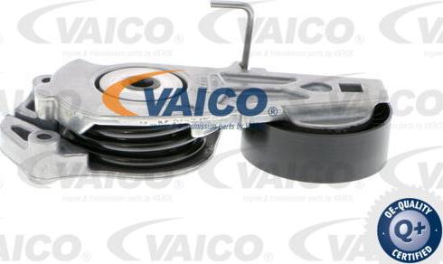 VAICO V20-1398 - Riemenspanner, Keilrippenriemen alexcarstop-ersatzteile.com