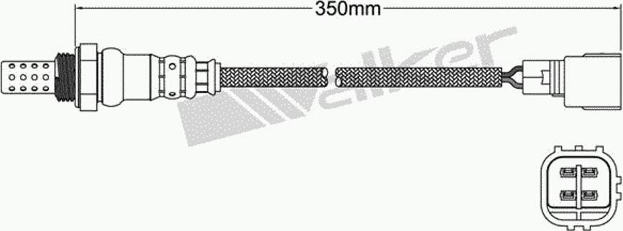 Walker 250-24906 - Lambdasonde alexcarstop-ersatzteile.com