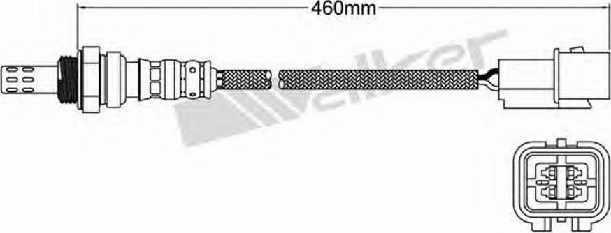 Walker 250-24461 - Lambdasonde alexcarstop-ersatzteile.com