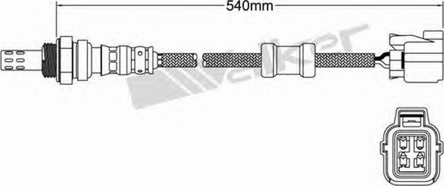 Walker 250-24429 - Lambdasonde alexcarstop-ersatzteile.com