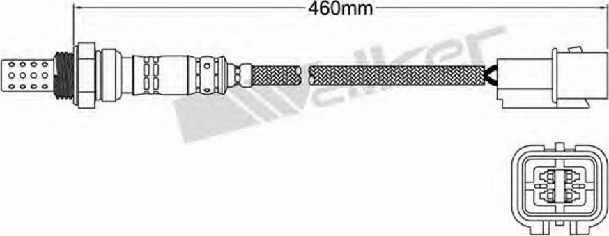 Walker 25024662 - Lambdasonde alexcarstop-ersatzteile.com