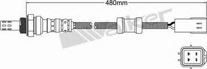 Walker 250-24067 - Lambdasonde alexcarstop-ersatzteile.com