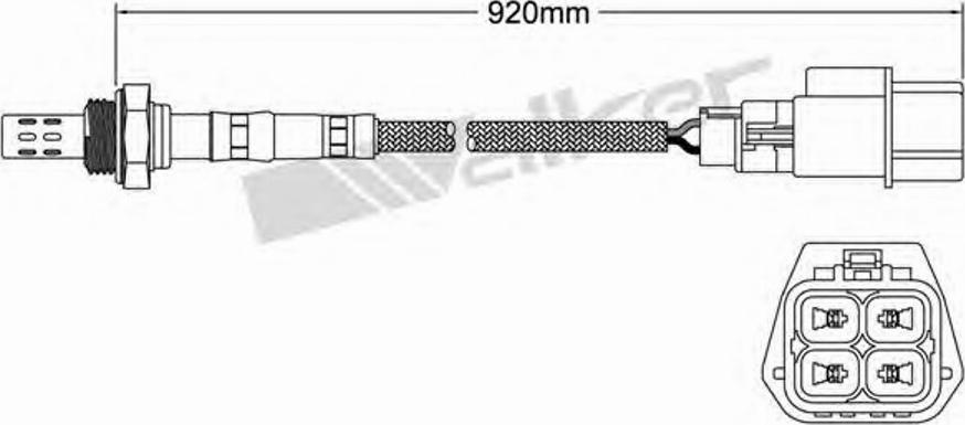 Walker 250-24284 - Lambdasonde alexcarstop-ersatzteile.com