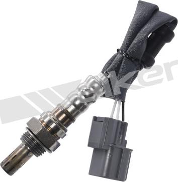 Walker Products 350-34251 - Lambdasonde alexcarstop-ersatzteile.com