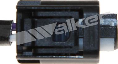 Walker Products 250-24565 - Lambdasonde alexcarstop-ersatzteile.com