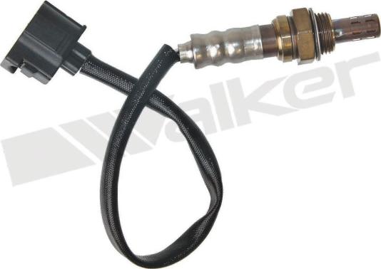 Walker Products 250-241117 - Lambdasonde alexcarstop-ersatzteile.com