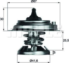 Wilmink Group WG1262733 - Thermostat, Kühlmittel alexcarstop-ersatzteile.com