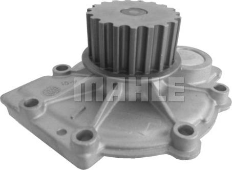 Wilmink Group WG2181706 - Wasserpumpe alexcarstop-ersatzteile.com