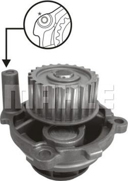 Wilmink Group WG2182063 - Wasserpumpe alexcarstop-ersatzteile.com