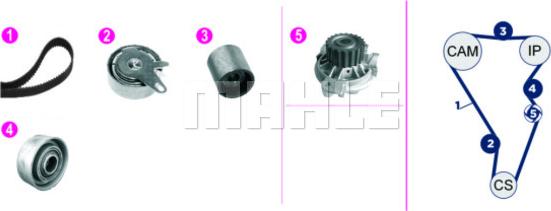 Wilmink Group WG2182142 - Wasserpumpe + Zahnriemensatz alexcarstop-ersatzteile.com