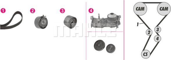 Wilmink Group WG2182147 - Wasserpumpe + Zahnriemensatz alexcarstop-ersatzteile.com