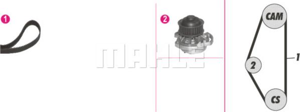 Wilmink Group WG2182155 - Wasserpumpe + Zahnriemensatz alexcarstop-ersatzteile.com