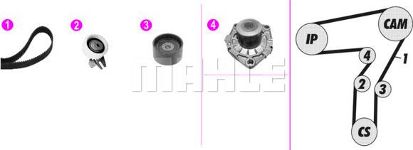 Wilmink Group WG2182103 - Wasserpumpe + Zahnriemensatz alexcarstop-ersatzteile.com