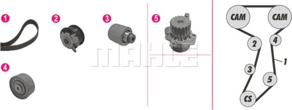 Wilmink Group WG2182114 - Wasserpumpe + Zahnriemensatz alexcarstop-ersatzteile.com