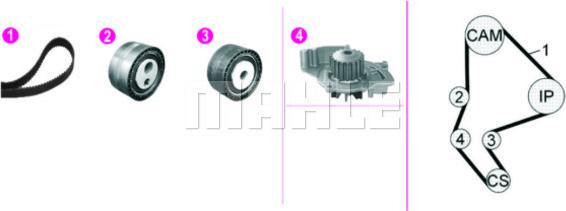 Wilmink Group WG2182132 - Wasserpumpe + Zahnriemensatz alexcarstop-ersatzteile.com