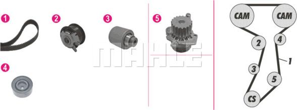 Wilmink Group WG2182124 - Wasserpumpe + Zahnriemensatz alexcarstop-ersatzteile.com