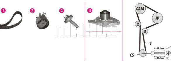 Wilmink Group WG2182121 - Wasserpumpe + Zahnriemensatz alexcarstop-ersatzteile.com