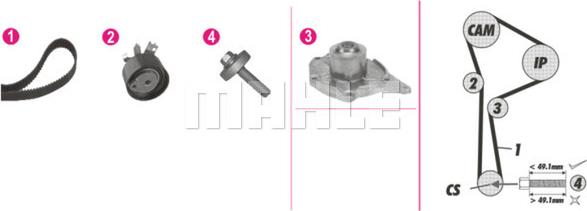 Wilmink Group WG2182122 - Wasserpumpe + Zahnriemensatz alexcarstop-ersatzteile.com