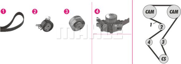 Wilmink Group WG2182179 - Wasserpumpe + Zahnriemensatz alexcarstop-ersatzteile.com