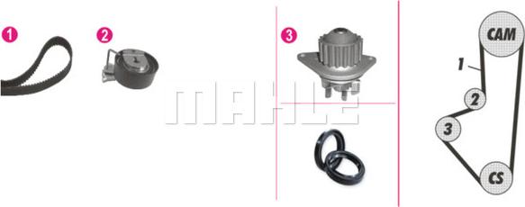 Wilmink Group WG2182173 - Wasserpumpe + Zahnriemensatz alexcarstop-ersatzteile.com