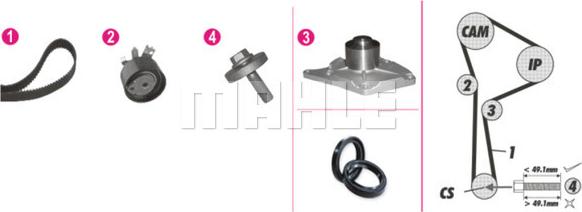 Wilmink Group WG2182217 - Wasserpumpe + Zahnriemensatz alexcarstop-ersatzteile.com