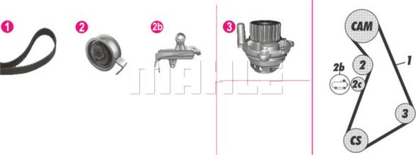 Wilmink Group WG2182227 - Wasserpumpe + Zahnriemensatz alexcarstop-ersatzteile.com